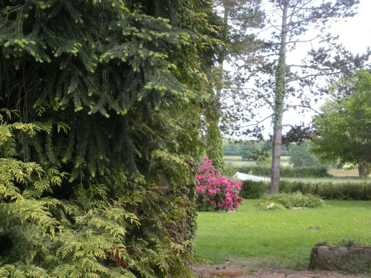 Le Domaine Du Mijarnier Bed and Breakfast Montbeugny Exteriör bild